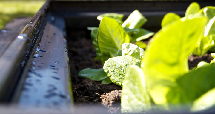 Molluskit also acts as a raised bed system